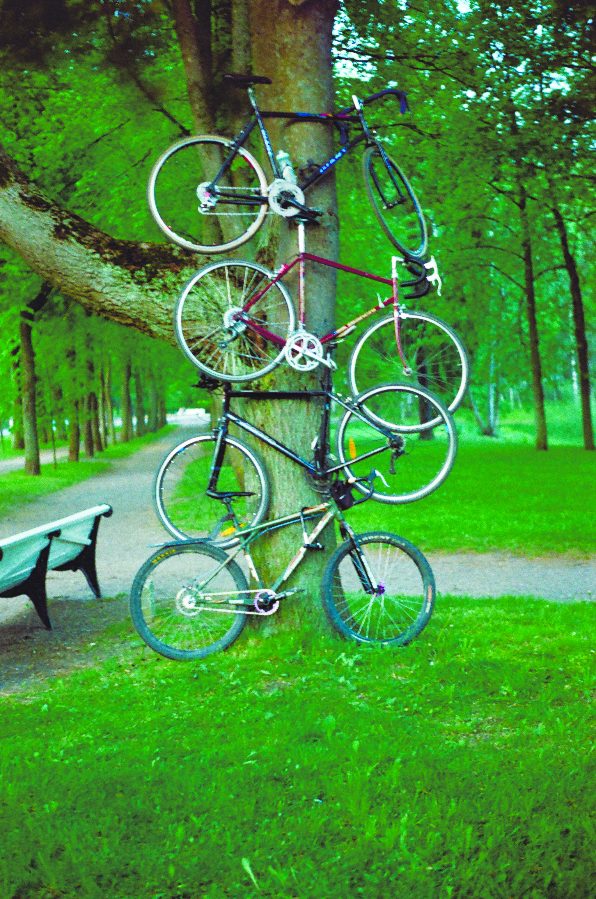 Книга Влажные Годы